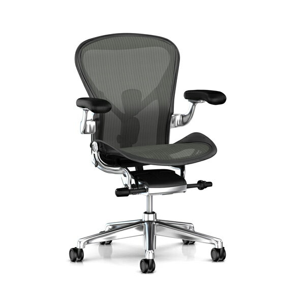 Aeron Chair - Don Chadwick & Bill Stumpf, 1994